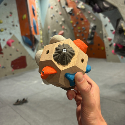 [Climber's Gift] Boulder Block